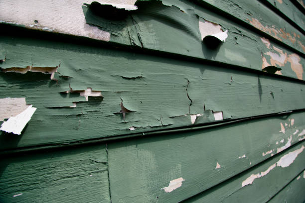 Best Moving and Downsizing Cleanouts  in Poseyville, IN